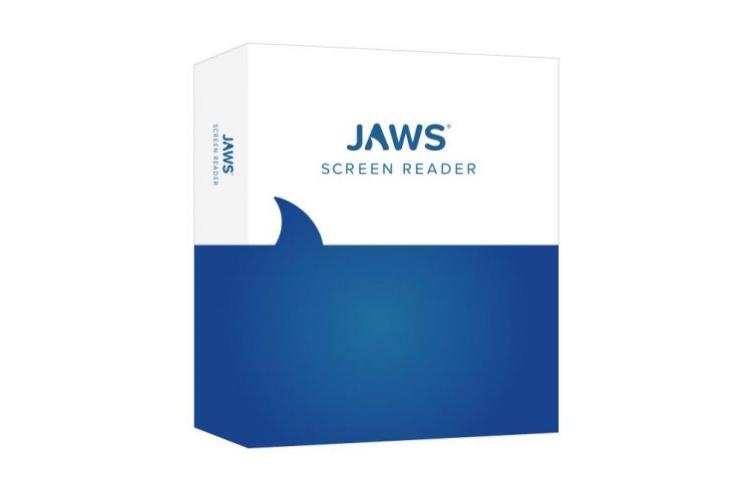 A white and blue box labelled "JAWS Screen Reader”.